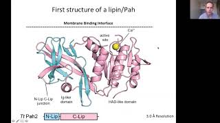 Lipin Phosphatidic Acid Phosphatases  Aug 10th 2020 [upl. by Maccarone]