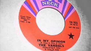 In My OpinionThe Vandals1969 [upl. by Kwei]