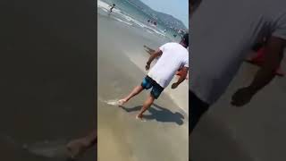 Sorprendió cocodrilo en playa de Zihuatanejo  Créditos a quien correspondan [upl. by Meeki676]