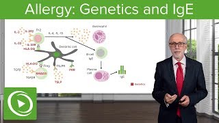 Allergy Genetics and IgE – Immunology  Lecturio [upl. by Notniuq]