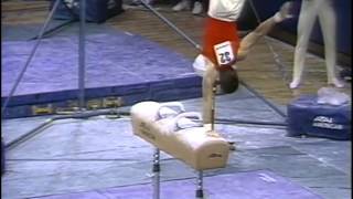 Who is Pommel Horse Gymnast Stephen Nedoroscik Get to Know the Viral Star  2024 Olympics  E News [upl. by Towers534]