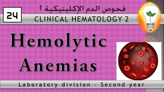 Clinical Hematology 24 Hemolytic Anemias الأنيميا التكسيرية [upl. by Minette]