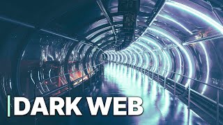 The Dark Web  Black Market Trade  Illegal Activities  Documentary [upl. by Aneetak]