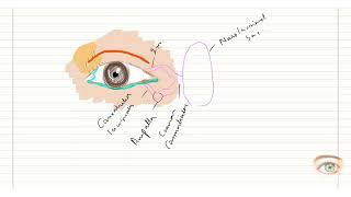 Lacrimal Apparatus [upl. by Halyk]