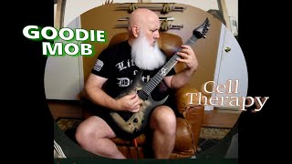 Goodie Mob  Cell Therapy Metal guitar cover [upl. by Brigida]