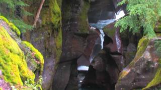 Trail of the Cedars Glacier National Park by Steve Salis [upl. by Ettegirb]