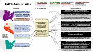 Endemic fungal infections Histoplasmosis ParaCoccidioidomycosis Blasto mechanism of disease [upl. by Caniff]