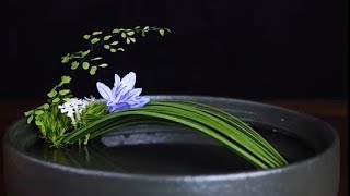 插花藝術固定和造型花枝，簡單，易學Flower Arrangement Ideas ikebana chahua Flower Arrangement [upl. by Morra227]