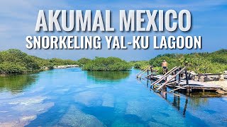 Snorkeling YalKu Lagoon AKUMAL MEXICO 4K 2020 [upl. by Jourdain414]