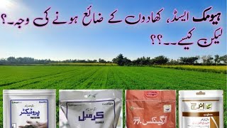 When to use humic acid in wheat  humic acid benefits  گندم میں ہیومک ایسڈ کا درست استعمال [upl. by Somisareg]