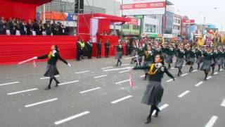 GANADOR ABSOLUTO  DESFILE 2017 [upl. by Konstance798]