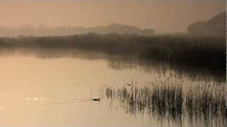 Shapwick National Nature Reserve at dawn March 2011 Somerset UK [upl. by Fitzhugh575]