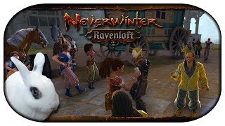 NEVERWINTER Ravenloft 🐇 01  Unwillkommene Gäste in Schloss Wyndrake [upl. by Suilenroc]