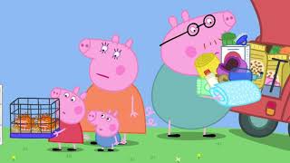 Peppa Pig  Guinea Pig  Peppa Pig Official  Family Kids Cartoon [upl. by Ilan]