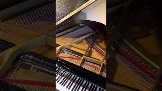 Testing grand piano Pleyel ‘70s [upl. by Zug678]