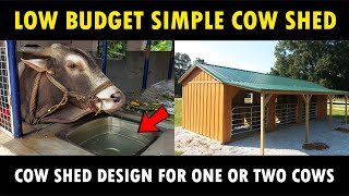 Simple Low Budget Cow Shed Design for One or Two Cows  Small Dairy Farm [upl. by Sowell866]