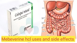 Mebeverine hcl tablet usesMebeverine hcl side effects full review [upl. by Federica]