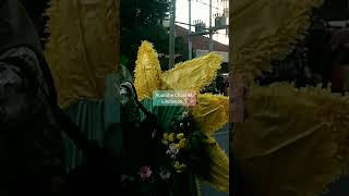 Sepeda Hias BUNGA diMerdeka Flower Festival Semarang 2024 PART8wisata karnaval shorts festivals [upl. by Einnod]