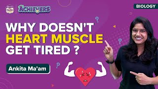 Why Doesnt the HeartCardiac Muscles Get Tired Like other Muscles   BYJUS  Class 9 amp 10 [upl. by Trevethick]