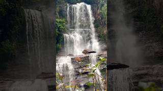 🕊️ Jhari falls Chikmagalur peace waterfall mountains tourism melody quotes love nature [upl. by Acinaj]