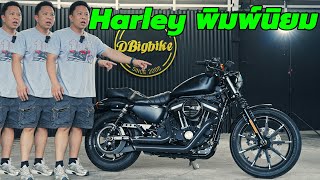 รีวิว Harley Davidson Sportster IRON 883 เก่าแล้วยัง น่าเล่นอยู่ไหม [upl. by Yart595]