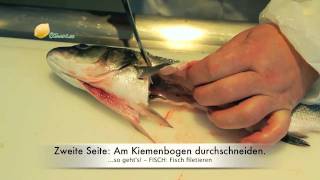 Howto Fisch Filetieren [upl. by Swanhilda]