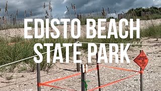 EDISTO BEACH STATE PARK  ULTIMATE OUTSIDER VLOG 4 [upl. by Sabelle]