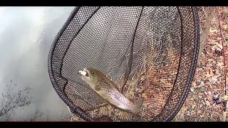 Winter Fishing  Lake hopping Nassau county  Brown Trout  Long Island NY [upl. by Aicenev]