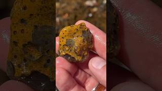 Limonite stained agate found in river [upl. by Ttennaj]