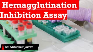 Hemagglutination Inhibition Assay [upl. by Ueik]