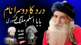 Heer Waris Shah Kalam  Bulleh Shah Kalam  Punjabi Kalam  Sufiana Kalam  Baba Aslam Malang Kasuri [upl. by Zerdna]