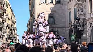 Castellers LA MERCE FESTIVAL BARCELONA SPAIN 2023 [upl. by Anneyehc]