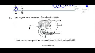 Biology paper 1 2020 internal [upl. by Arykat]