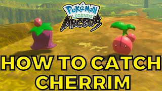 How to Catch Cherrim Side Quest 17  To Bloom or not to Bloom Pokemon Legends Arceus [upl. by Griz]