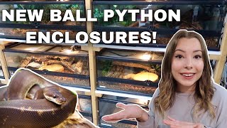 Setting Up 5 Snake Enclosures  Ball Python Enclosure Makeover [upl. by Noiraa]