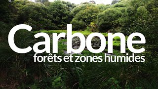 Carbone forêts et zones humides [upl. by Hach]