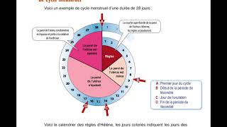 cycle menstruel durée du cycle date de lovulation et fenêtre de fécondité [upl. by Luann821]