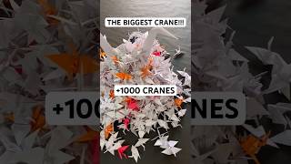 THE BIGGEST ORIGAMI CRANE TUTORIAL  DIY FULLSIZED ORIGAMI CRANE STEP BY STEP 1000 ORIGAMI CRANES [upl. by Oliana]