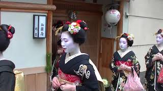 京都花街宮川町新年挨拶回り（五）201815japankyotokagaimiyagawachogeikomaiko [upl. by Airrehs]