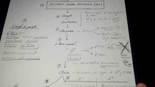 Esquema en 8 minutosEsclerosis Lateral Amiotrófica  ELA [upl. by Yllib425]