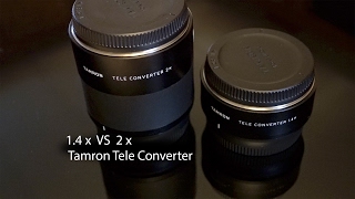 Tamrons 14x vs 2x Teleconverter Pros and Cons [upl. by Stiles]