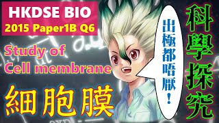 破解SBA│DSE Bio │ HKDSE 2015 1B Q6 │ cell membrane investigation 細胞膜探究 │ Faith Education 雙語Bilingual [upl. by Annairt]