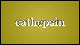 Cathepsin Meaning [upl. by Osborne174]