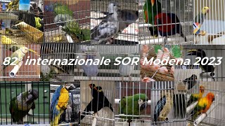 82° edizione dellinternazionale SOR 2023 Modena fiere ex Reggio Emilia VIDEO COMPLETO [upl. by Niad]