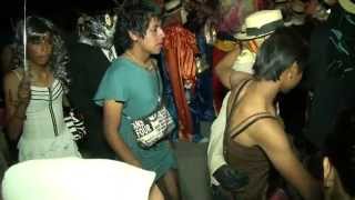 1er domingo de Carnaval Temaxcalac 2013 parte 5 [upl. by Ahsaek]