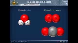 Citologia 04  Polarità delle molecole [upl. by Mya]