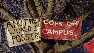 What I saw at the ProPalestine University of Toronto Encampment May 2024 [upl. by Diane279]