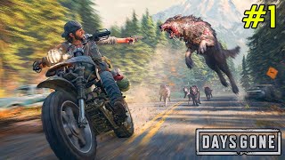 The Best Zombie Game  Days Gone Gameplay 1 [upl. by Sible388]