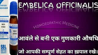 Emblica Officinalis  Amla आंवला जो रखे आपकी सेहत का ख़याल हर मौसम में Homoeopathicvines [upl. by Rosalind]