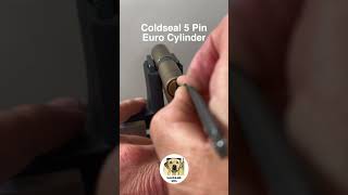 Lock Picking Shorts  Coldseal Euro Cylinder SPP and Gutted [upl. by Aleira]